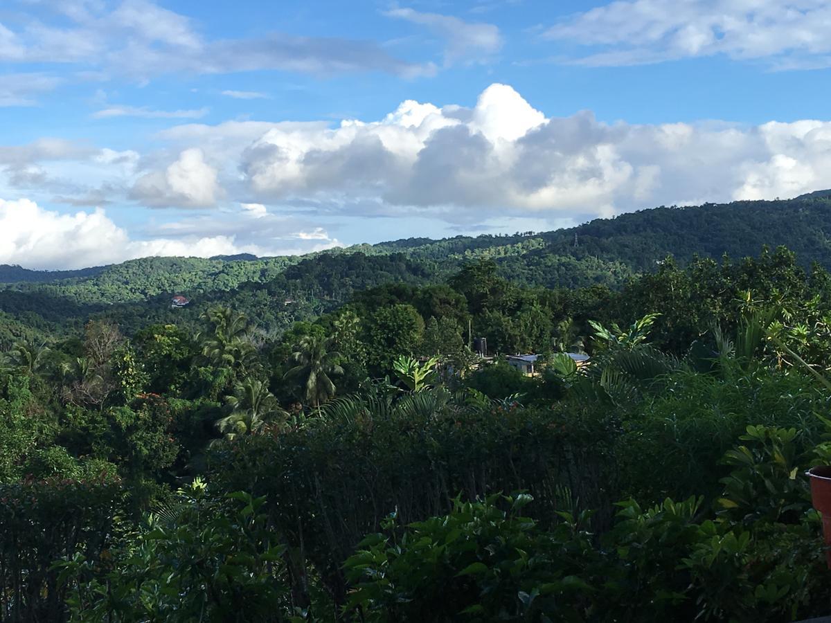 Treetops Villa Port Antonio Exterior photo